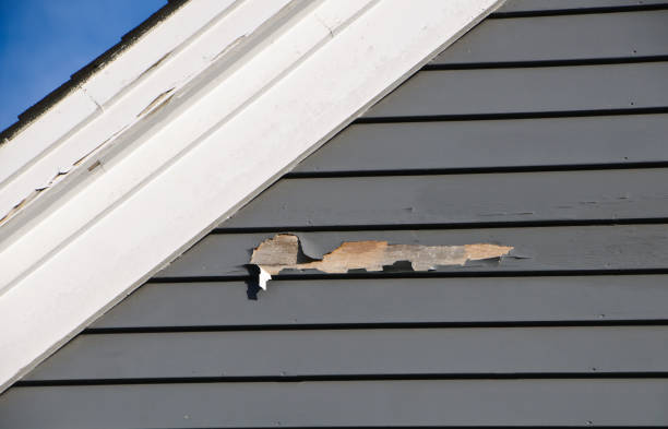 Custom Trim and Detailing for Siding in Jamestown, ND